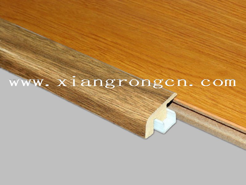 End cap/carpet reducer for laminate flooring