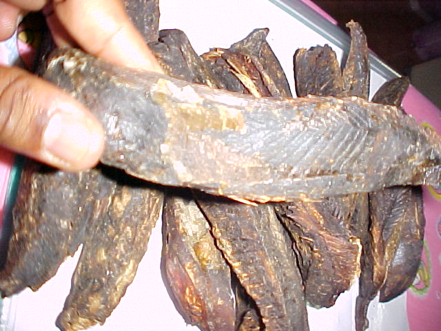 Dried Fish Tuna
