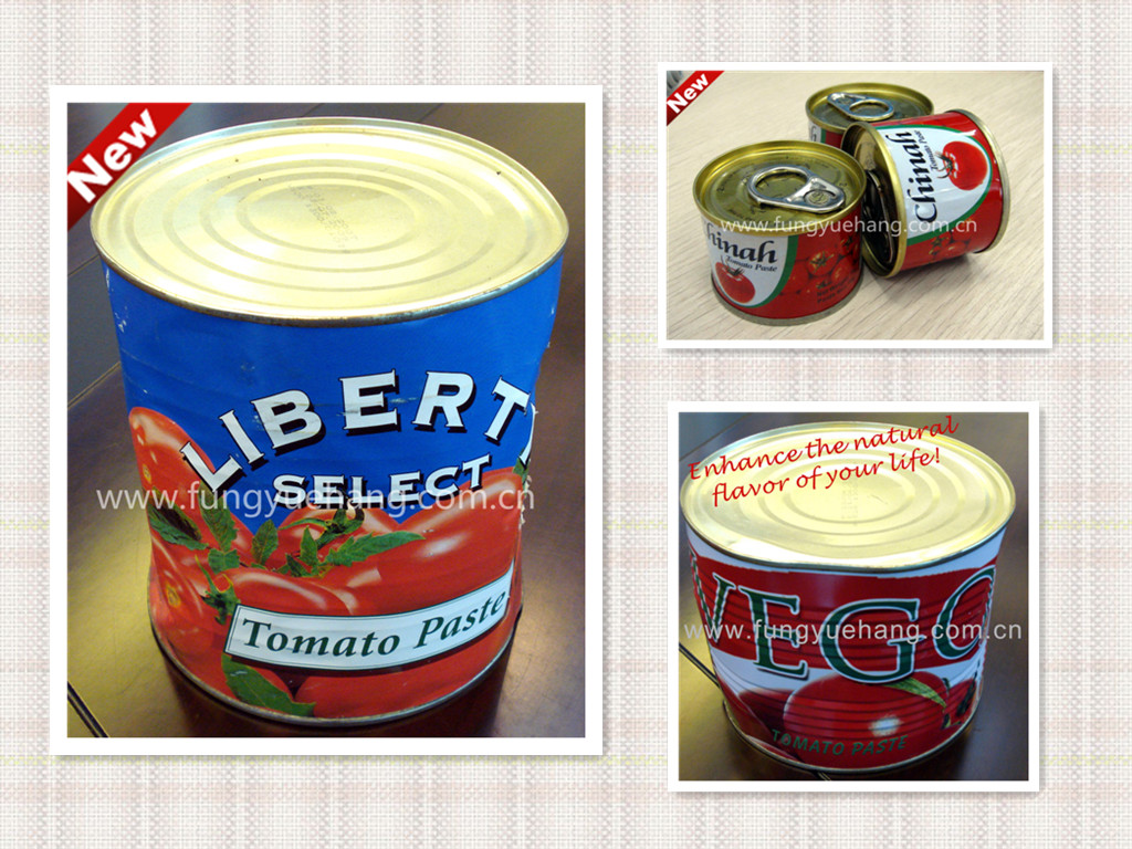 2011 fresh 70g canned tomato paste