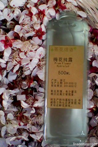 Plum blossom flower water hydrosol hydrolat