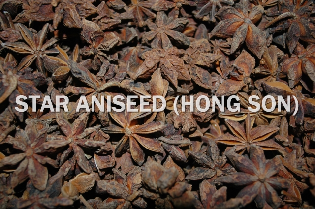 Star Anise