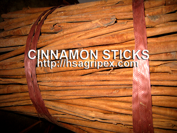 CINNAMON STICKS from Viet Nam