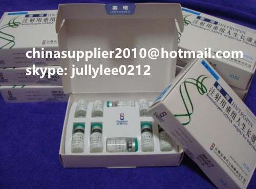 hgh jintropin original hgh Somatotropin growth hormone human