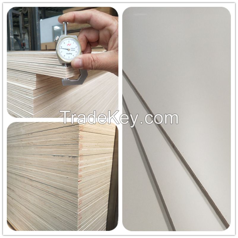 High Quality Warm White Melamine Paper Laminated Plywood for India