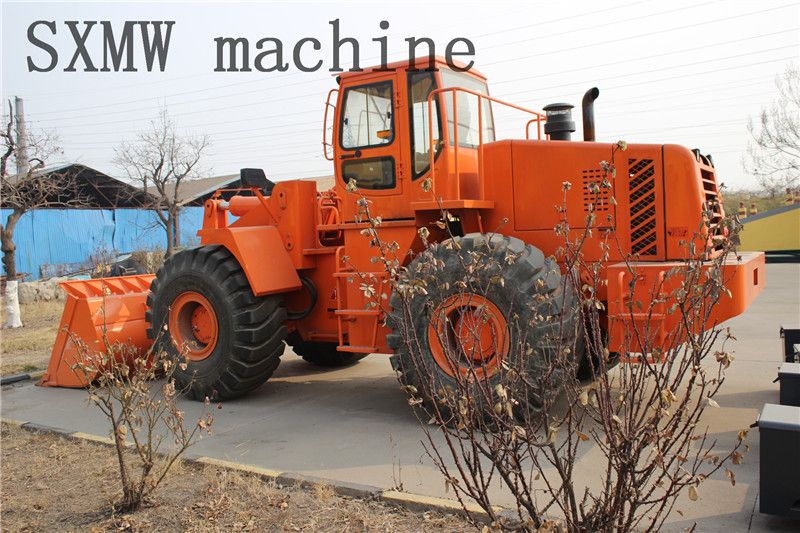 HOT SALE middle east market big loader for load cap 6000kg SXMW 968