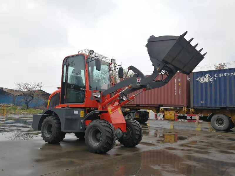 hot sale loading shovel loader SXMW10 for loading 1000kg