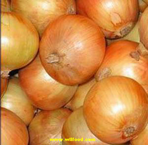 onion