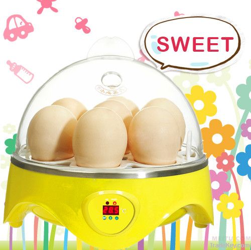 CE Approved 2012newest automatic mini egg incubator