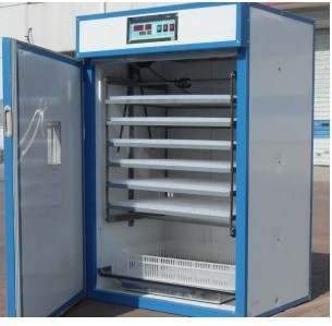 Advanced Egg Incubator with High Quality YZTIE-10( CE Approved)