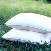 pillow