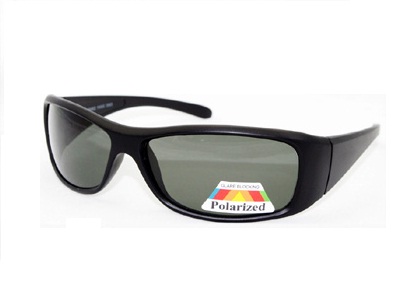 Polarised Sunglasses