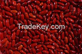 Fresh and dried kidney beans