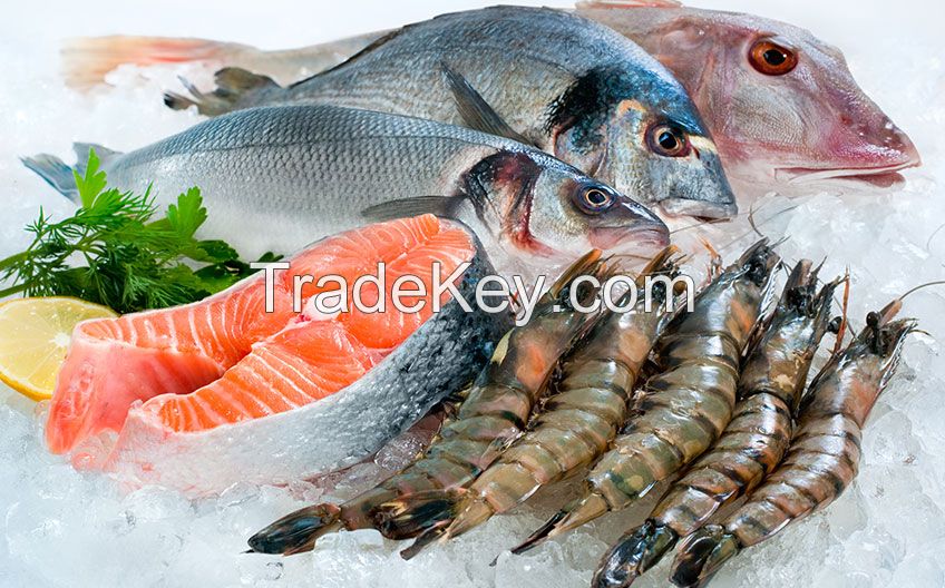 Best Frozen Seafood Fishes, Shrimps, Crabs, Pallocks, Fillets, catfish, Squid, Octopus, Lobster