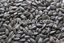Black sunflower seeds for oil or for bird