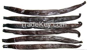 Tahiti Tahitian Vanilla Beans, Vanilla Tahitensis