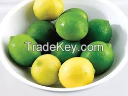 Fresh Lemons for sale / Green and Yellow lemon for sale