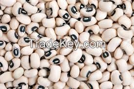 Black Eyed Beans / black beans for sale