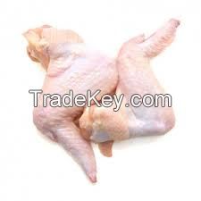 Halal Frozen Chicken Fillets 