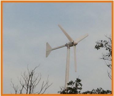 wind turbine 1000w