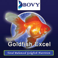 GOLDFISH EXCEL