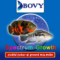 SPECTRUM  GROWTH