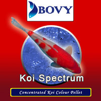 KOI SPECTRUM