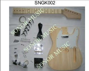 DIY TL Electric Guitar Kit, Unfnished Guitar Kit