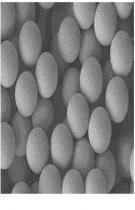 Cenosphere, natural from Coal plant, all true densities, from 0.75-1.