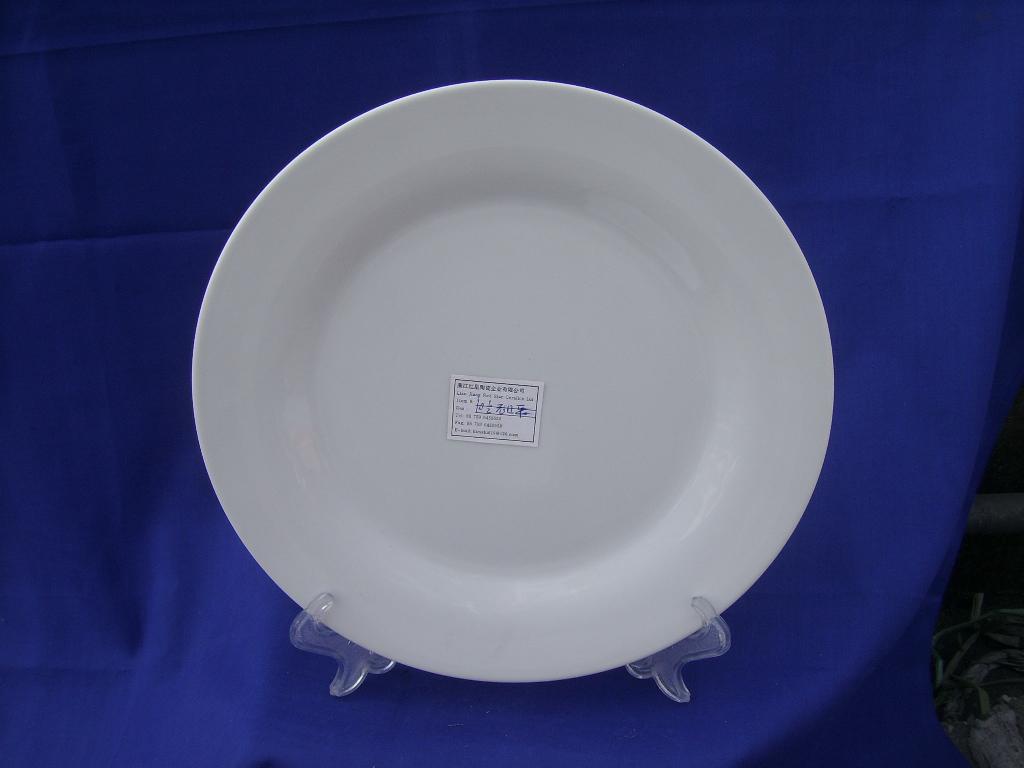 porcelain super white dinner plate