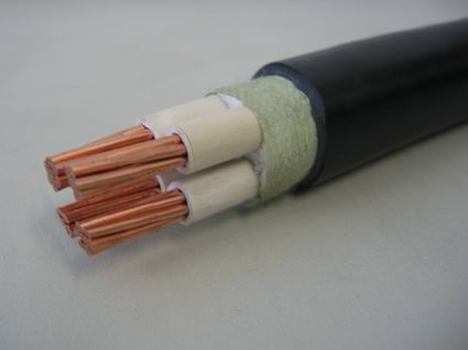 PVC insulaed and sheathed power cable