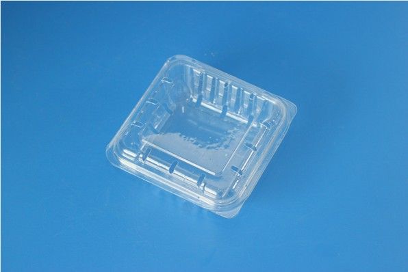 Blueberry Plastic Box