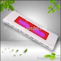 Hot-selling vegetative 1000w led panel grow lights