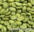 Green coffee bean extract