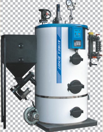 Biomass steam boiler