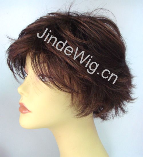 Human Hair Monofilament Wig