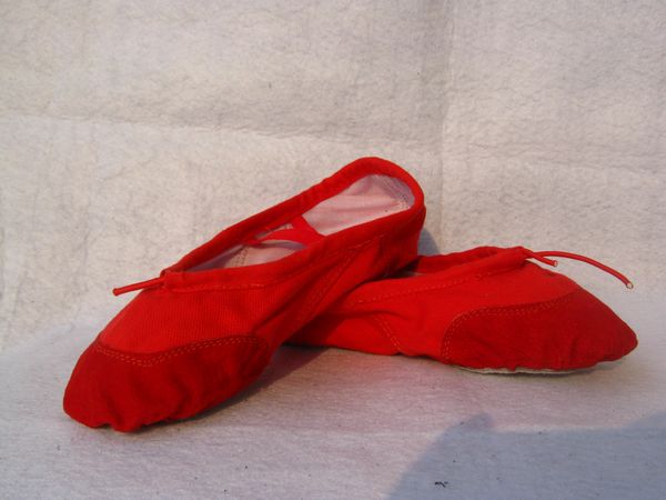 ballet shoes dance shoes