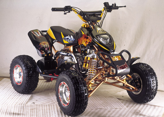 Leopard ATV