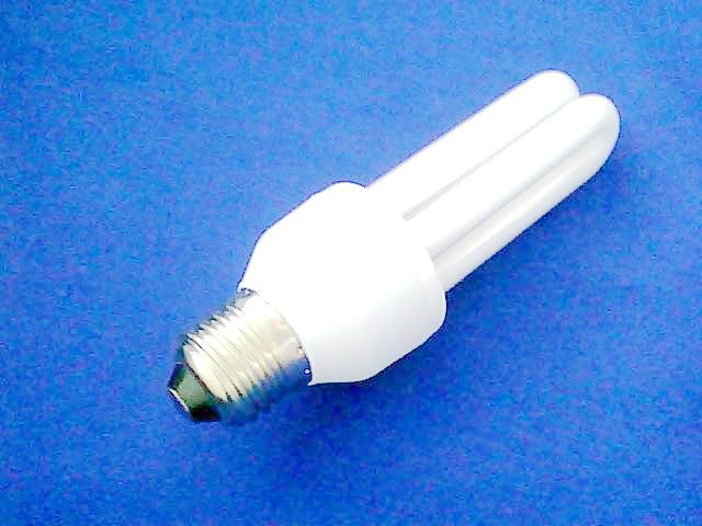 2U  15 W CFL bulb