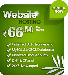 Web Hosting