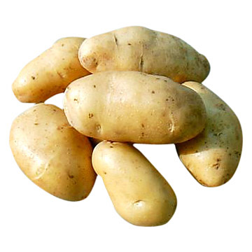 Potato, Cabbage, Cauliflower, Carrots, Pumpkin, Radish, Ladies- finger