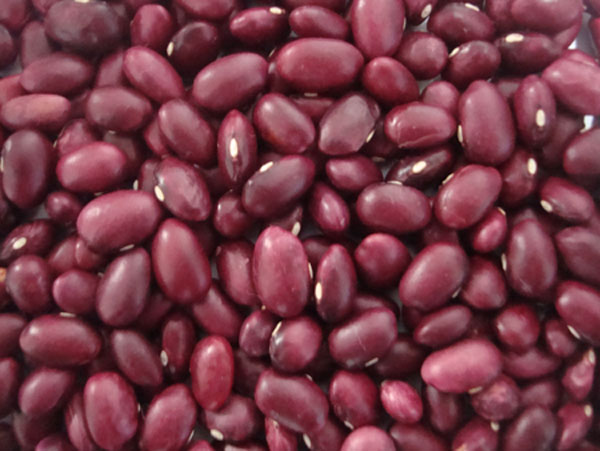 red kidney beans