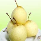 fresh  Ya pear
