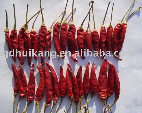 2010 new crop dry chilli, red hot chilli,