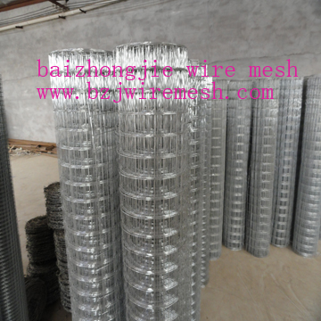 welded wire mesh