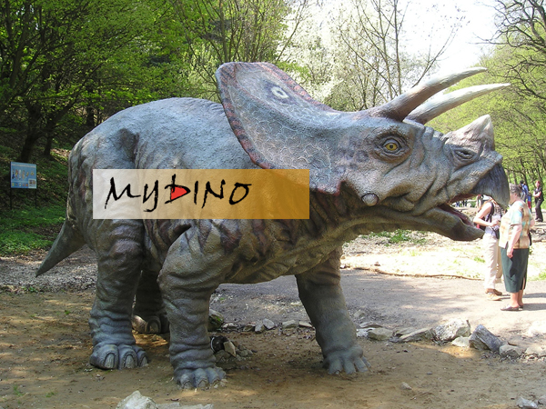 Triceratops   fiberglass dinosaur