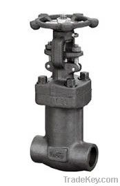 Globe Valve class 800 bellow sealed forged 