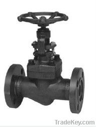 class 900~1500 flanged end forged globe valve
