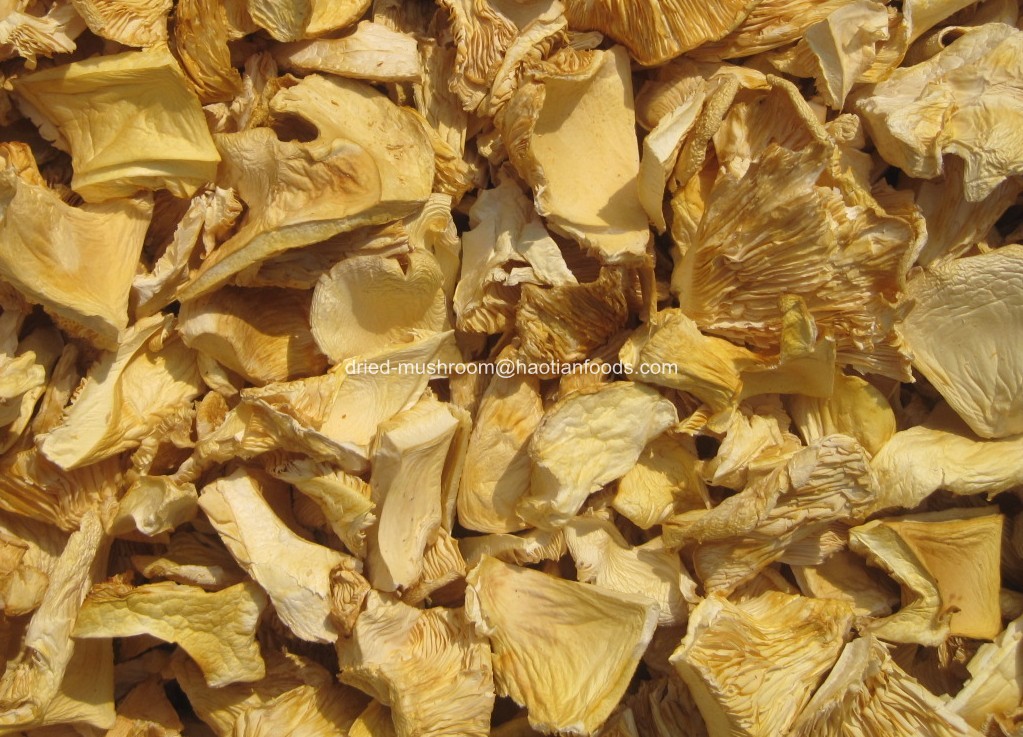 dried yellow pleurotus ostreatus