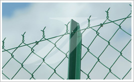 Chain Link Fence