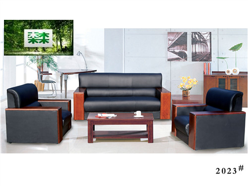 Modern Livingroom Leather sofa
